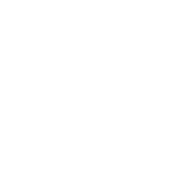 Fractal Power